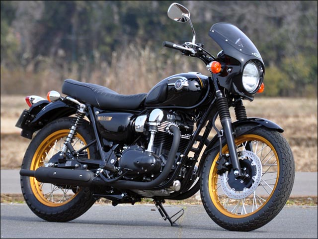 Kawasaki w800 store fairing